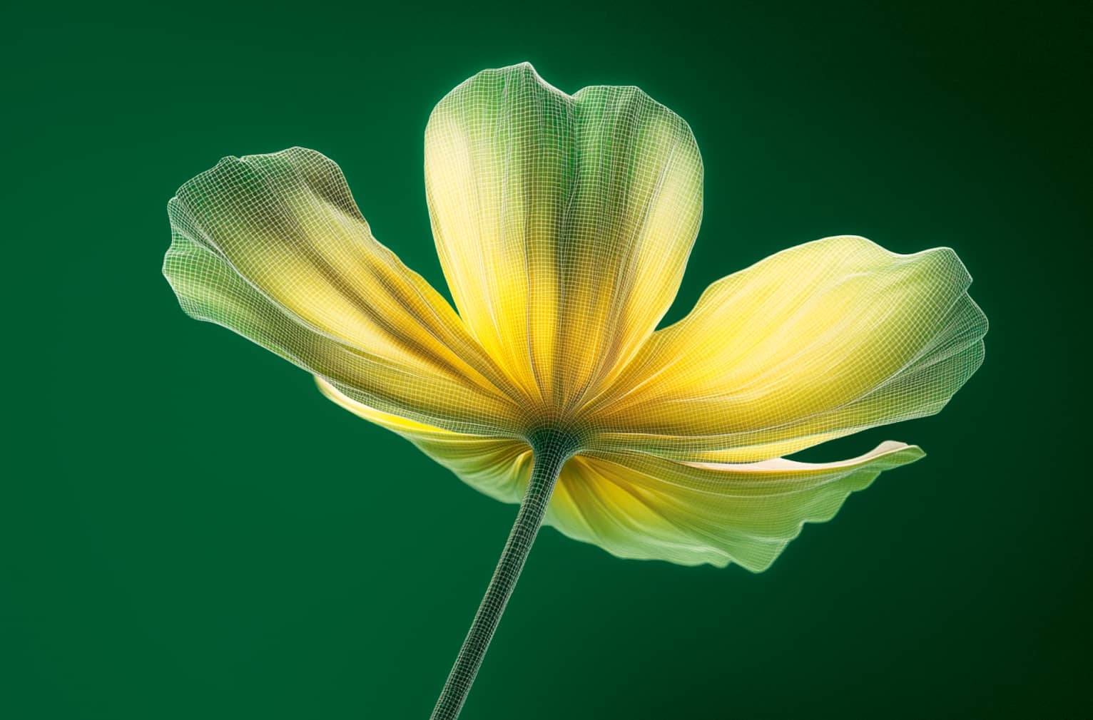Fleur