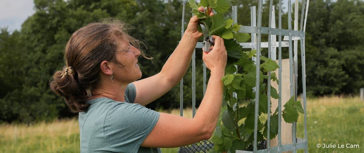 Femme taillant une plante