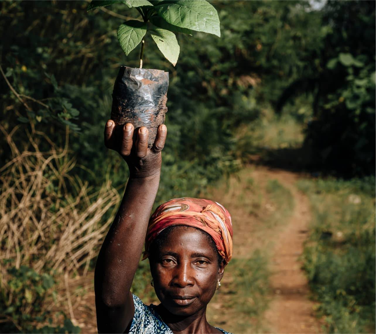 Femme portant une pousse d'arbre