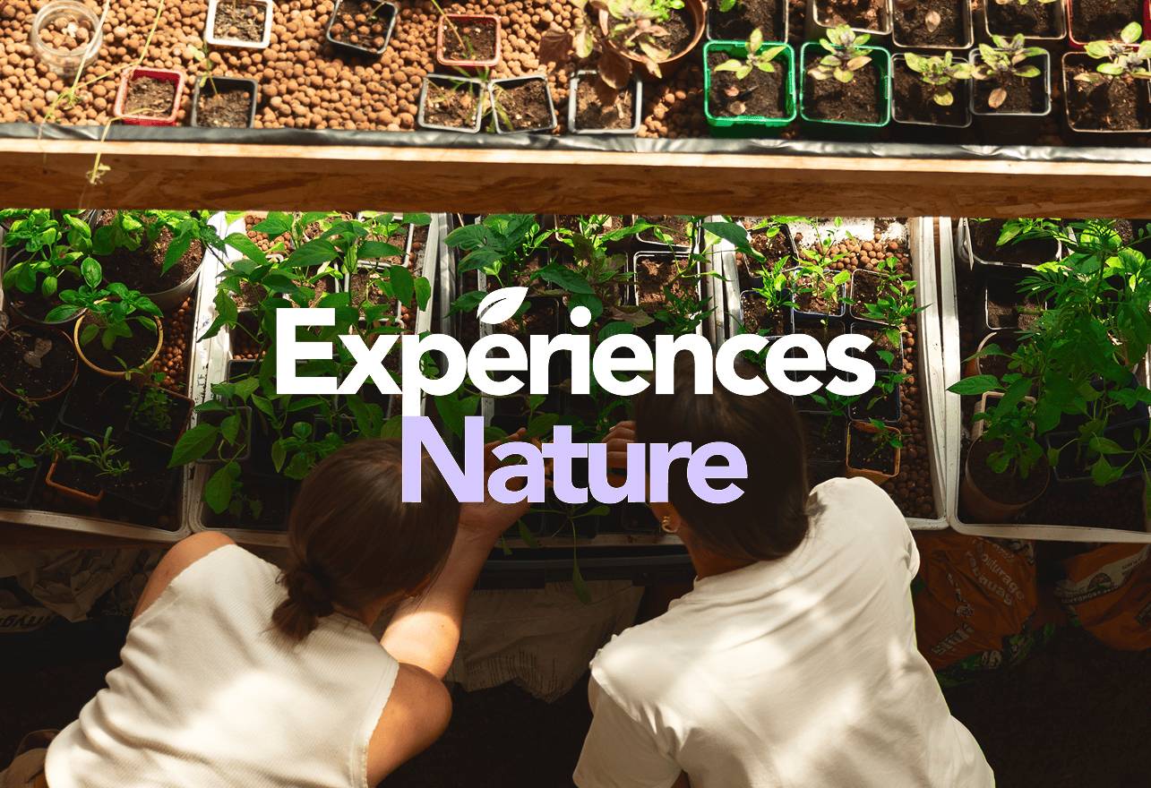 Expériences Nature