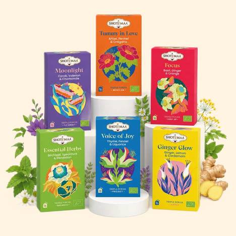 6 Tisanes Bio Sommeil & Digestion