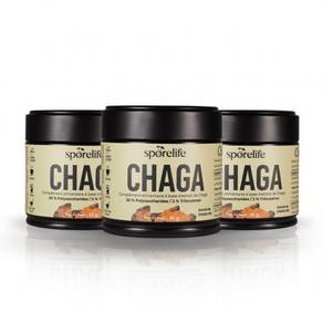 Peau & Immunité — Chaga Extrait en Poudre X3