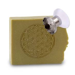 Shampoing Bio Solide + Porte-savon Magnétique